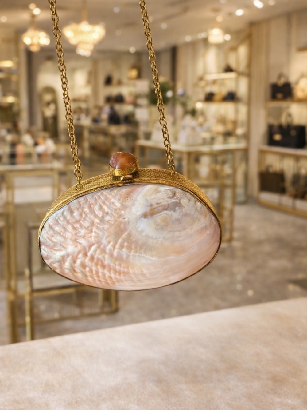 Shell Clutch Crossbody with Gold Frame